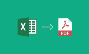 EXCEL TO PDF