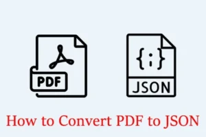PDF TO Json